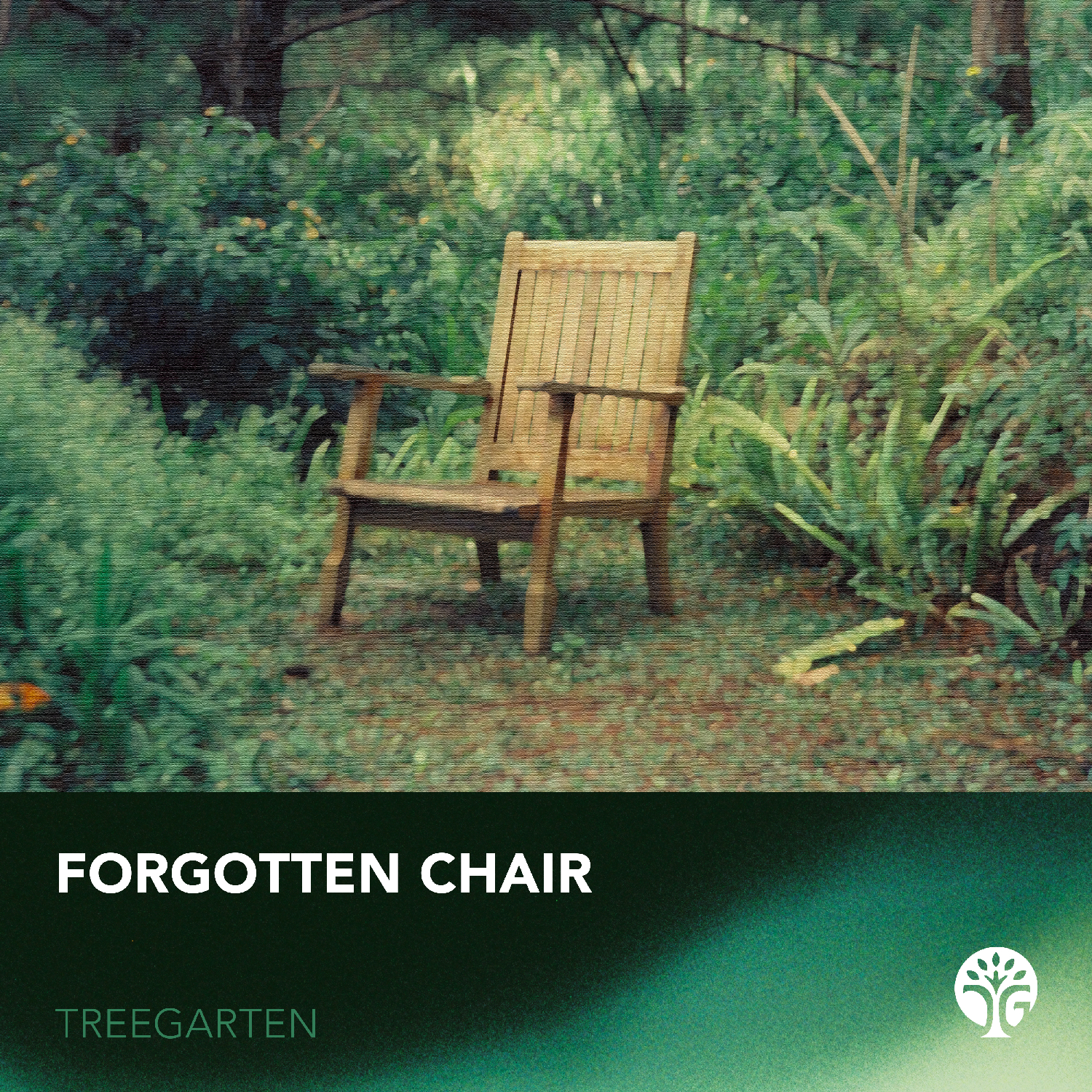 Forgotten Chair