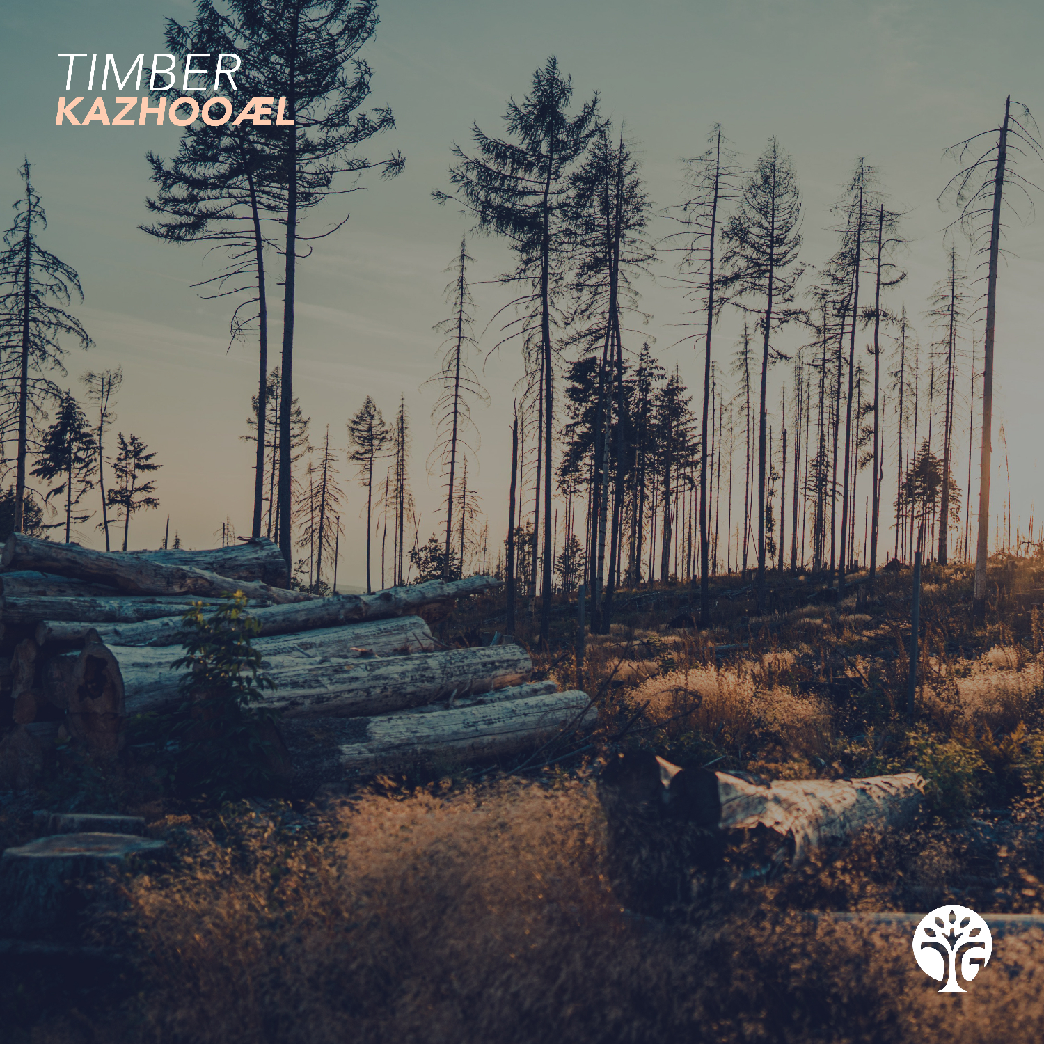 Timber